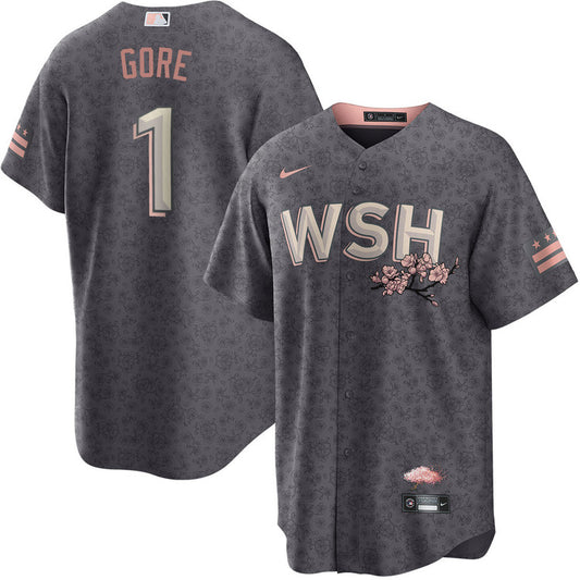 MacKenzie Gore Washington Nationals Nike City Connect Limited Player Jersey - Charcoal